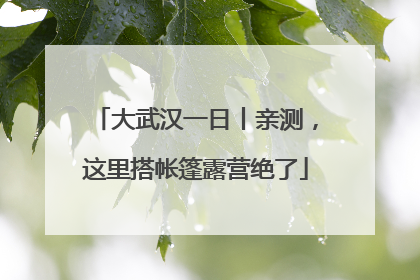 大武汉一日丨亲测，这里搭帐篷露营绝了