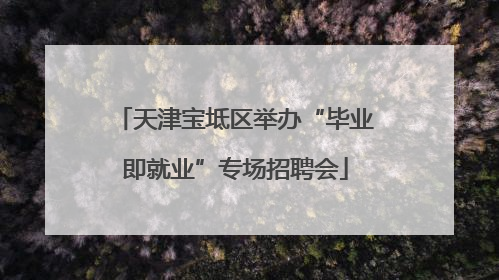 天津宝坻区举办“毕业即就业”专场招聘会