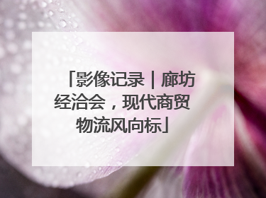 影像记录｜廊坊经洽会，现代商贸物流风向标