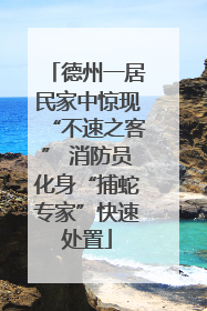 德州一居民家中惊现“不速之客” 消防员化身“捕蛇专家”快速处置
