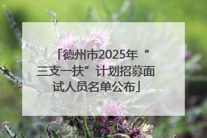 德州市2025年“三支一扶”计划招募面试人员名单公布