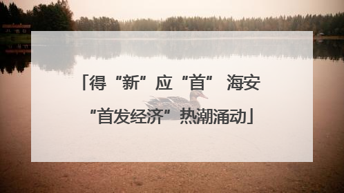 得“新”应“首” 海安“首发经济”热潮涌动