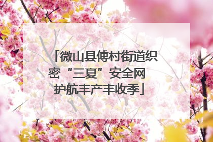 微山县傅村街道织密“三夏”安全网 护航丰产丰收季
