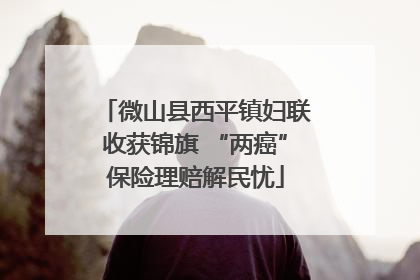微山县西平镇妇联收获锦旗 “两癌”保险理赔解民忧