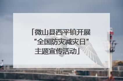 微山县西平镇开展“全国防灾减灾日”主题宣传活动