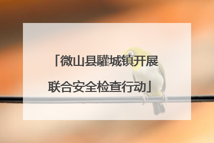 微山县驩城镇开展联合安全检查行动