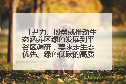 尹力、殷勇就推动生态涵养区绿色发展到平谷区调研，要求走生态优先、绿色低碳的高质量发展之路