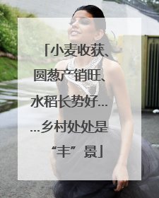 小麦收获、圆葱产销旺、水稻长势好……乡村处处是“丰”景