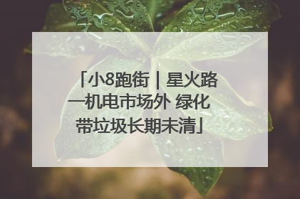 小8跑街｜星火路一机电市场外 绿化带垃圾长期未清