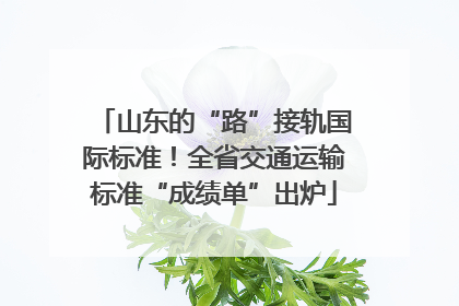 山东的“路”接轨国际标准！全省交通运输标准“成绩单”出炉