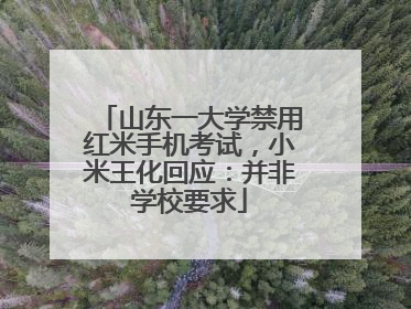 山东一大学禁用红米手机考试，小米王化回应：并非学校要求