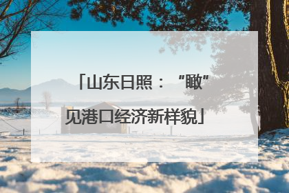 山东日照：“瞰”见港口经济新样貌