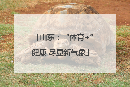 山东：“体育+”健康 尽显新气象