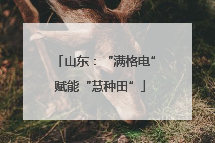 山东：“满格电”赋能“慧种田”