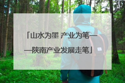 山水为墨 产业为笔——陕南产业发展走笔