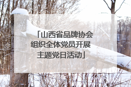 山西省品牌协会组织全体党员开展主题党日活动