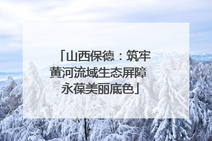 山西保德：筑牢黄河流域生态屏障 永葆美丽底色