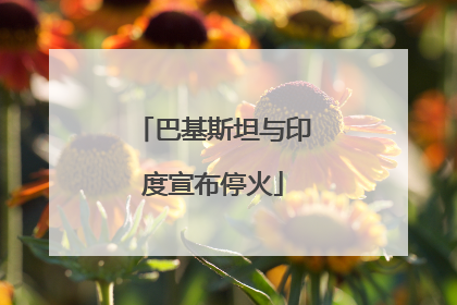 巴基斯坦与印度宣布停火