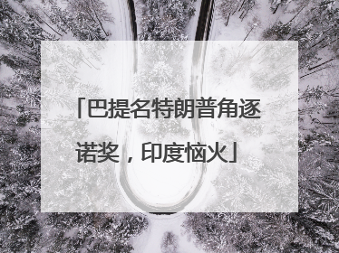 巴提名特朗普角逐诺奖，印度恼火