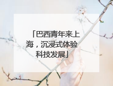 巴西青年来上海，沉浸式体验科技发展
