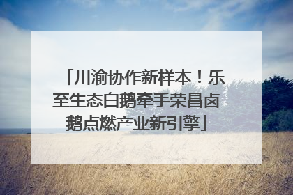 川渝协作新样本！乐至生态白鹅牵手荣昌卤鹅点燃产业新引擎