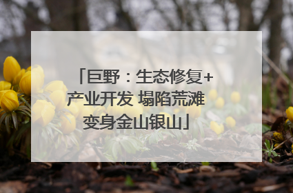 巨野：生态修复+产业开发 塌陷荒滩变身金山银山