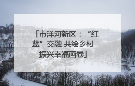 市洋河新区：“红蓝”交融 共绘乡村振兴幸福画卷
