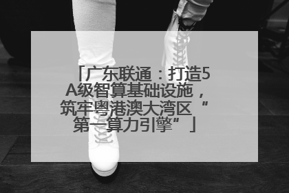 广东联通：打造5A级智算基础设施，筑牢粤港澳大湾区“第一算力引擎”