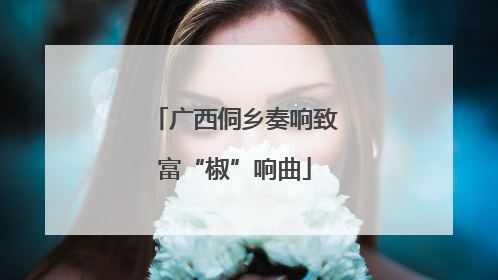 广西侗乡奏响致富“椒”响曲