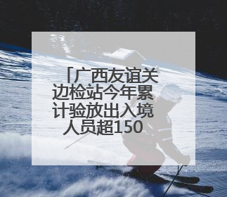 广西友谊关边检站今年累计验放出入境人员超150万人次