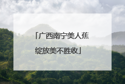 广西南宁美人蕉绽放美不胜收