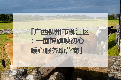 广西柳州市柳江区：一面锦旗映初心 暖心服务助营商
