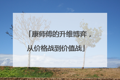 康师傅的升维博弈，从价格战到价值战