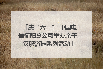 庆“六一” 中国电信衡阳分公司举办亲子汉服游园系列活动