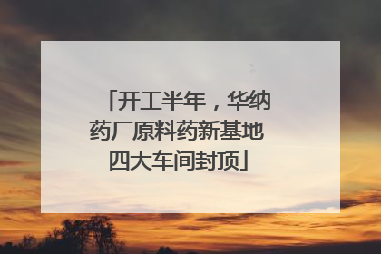 开工半年，华纳药厂原料药新基地四大车间封顶