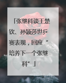 张继科谈王楚钦、孙颖莎世乒赛表现，回应“培养下一个张继科”