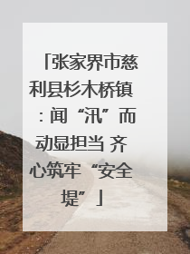 张家界市慈利县杉木桥镇：闻“汛”而动显担当 齐心筑牢“安全堤”