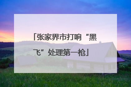 张家界市打响“黑飞”处理第一枪