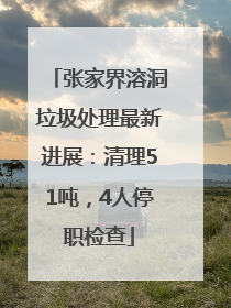张家界溶洞垃圾处理最新进展：清理51吨，4人停职检查