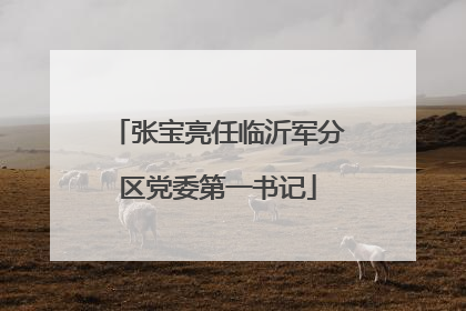 张宝亮任临沂军分区党委第一书记