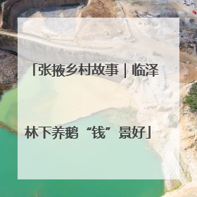 张掖乡村故事｜临泽林下养鹅“钱”景好