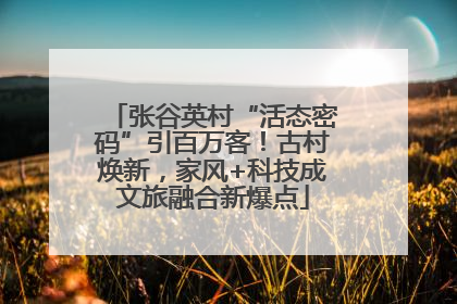 张谷英村“活态密码”引百万客！古村焕新，家风+科技成文旅融合新爆点