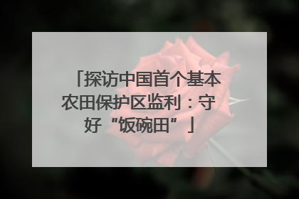 探访中国首个基本农田保护区监利：守好“饭碗田”