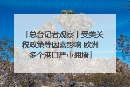 总台记者观察丨受美关税政策等因素影响 欧洲多个港口严重拥堵