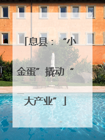 息县：“小金蛋”撬动“大产业”