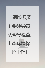 惠安县委主要领导带队督导检查生态环境保护工作