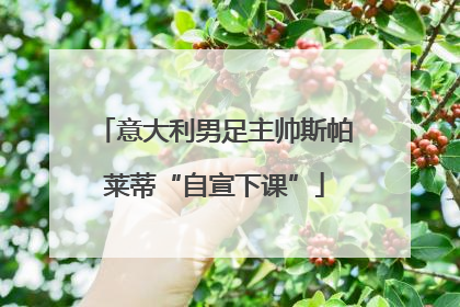 意大利男足主帅斯帕莱蒂“自宣下课”