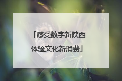感受数字新陕西 体验文化新消费