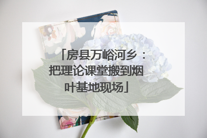 房县万峪河乡：把理论课堂搬到烟叶基地现场
