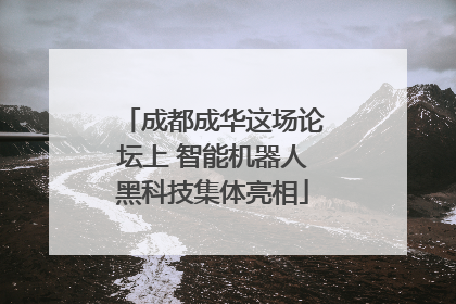 成都成华这场论坛上 智能机器人黑科技集体亮相
